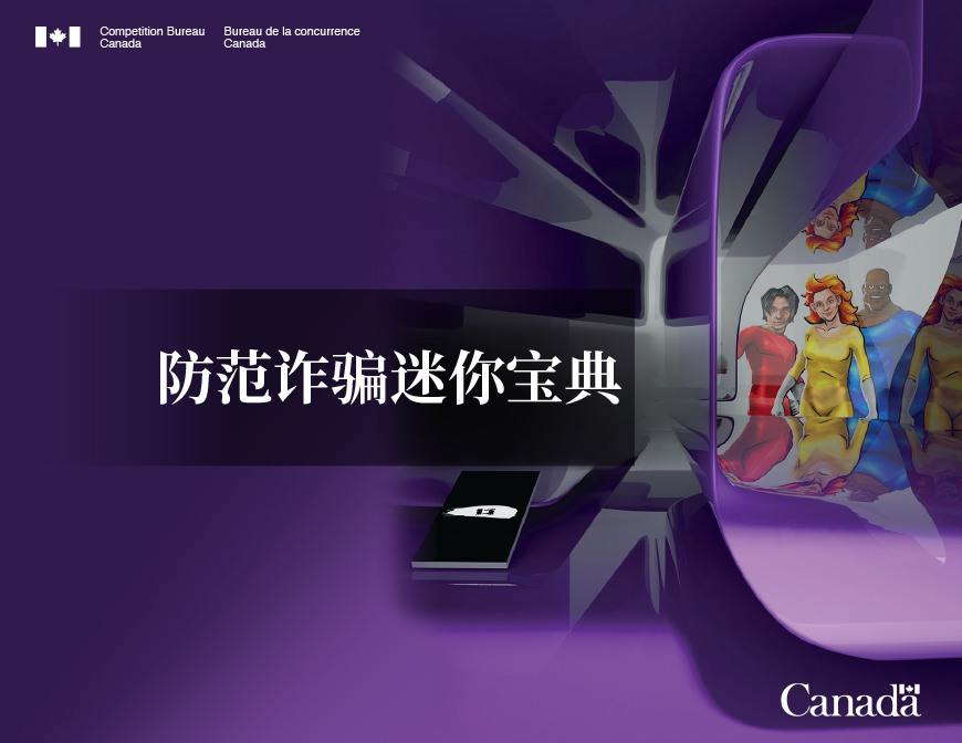 Le petit livre noir de la fraude 2e édition en chinois simplifié