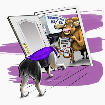 Graphique du Petit livre noir de la fraude – Fraudes liées au porte-à-porte